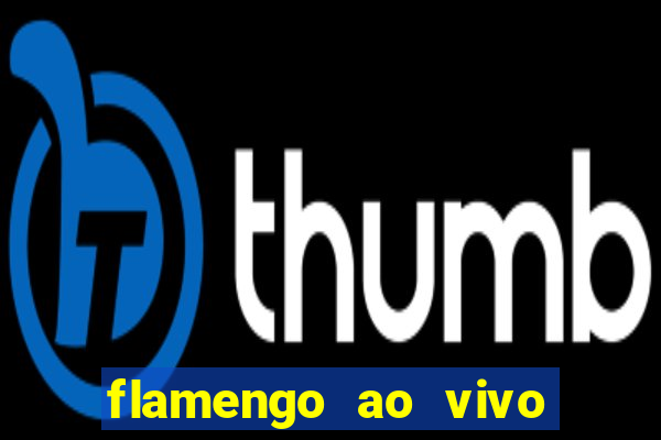 flamengo ao vivo multi tv